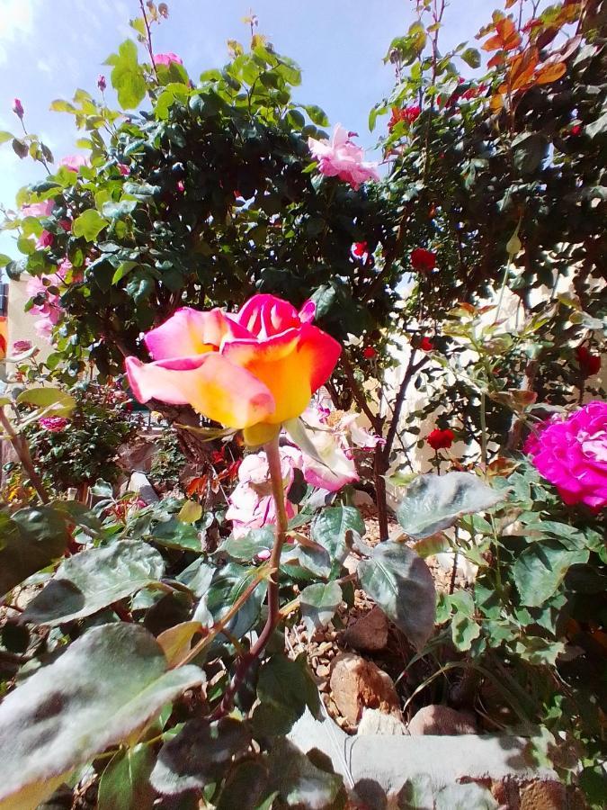 Las/Rosas Orgaz 외부 사진